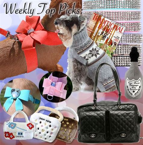 glamour mutt dog boutique